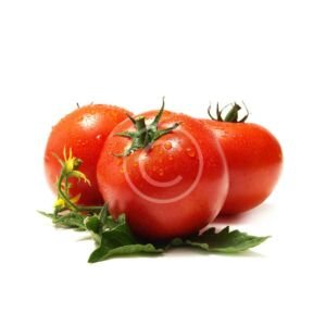Vine-ripened tomatoes